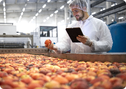 Food Processing